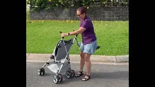 DoBuggy Adapted Push Chair Setup