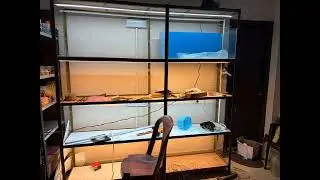 Tank stand almost ready with lights 