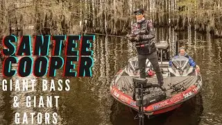 Elite Stop #3 Land of Giant Bass & Gators : Santee Cooper Lakes