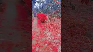 Vivegam Surviva Song#Trending Song Tamil||Sona Rocks Tamil#