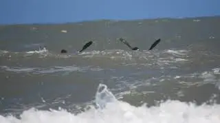 Regata Oceanica El C&oacute;ndor 2023