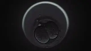 [Trailer] LOONA 