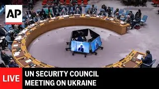 LIVE: UN Security Council meeting on Ukraine