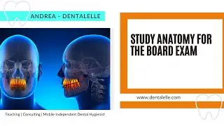 How To Study Oral Anatomy for the Board Exam from the Blueprint!