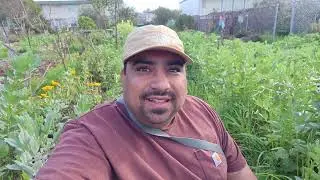 Francisco Meza ( Richmond California Garden ) 