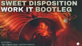 Sweet Disposition vs.Work IT (Quintino Mashup)[Samne Remake]