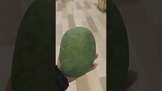 Overgrown mango