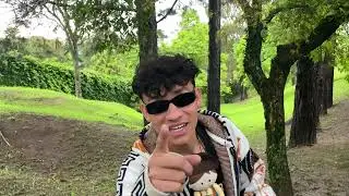 Grinho - Cicatrizes