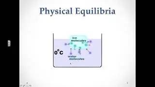 Video 7 1 Dynamic Equilibrium