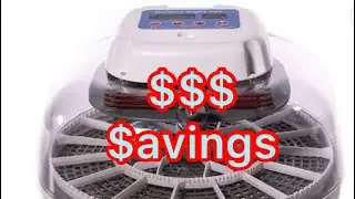 $$$ Our Nurture Right 360 Incubator is On Sale AMAZON COUPON!!!! $$$ SAVINGS