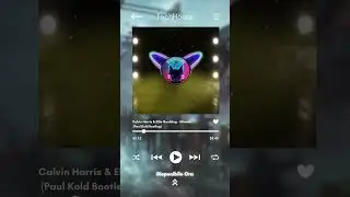 Calvin Harris & Ellie Goulding - Miracle (Paul Kold Bootleg)