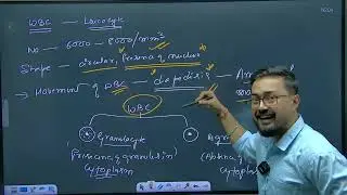 Day - 04 Biology Body Fluids and circulation #neet2026 #archlearning #ssg  01 29 15 51 36