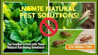 Say Goodbye to Pests with These Natural Gardening Solutions! 🌱 Eco-Friendly Pest Control Tips