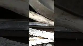 Train vs wood #train #experiments #ytshorts