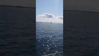 Segelt&ouml;rn