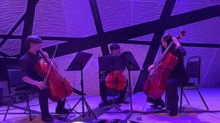 [NYYS Composition Date 2023] Nilolas Scheiber Loeis, Cello Trio, Written for the SoRi Trio