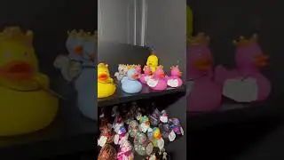 Duck store Bangkok #Thailand #bangkok