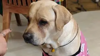 Posto jethu k potache chad e jabe bole 