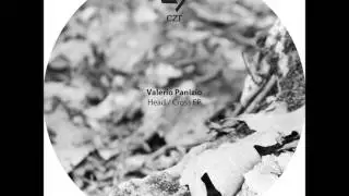 Valerio Panizio - Head (Original Mix)
