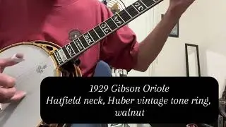 Comparison of Prucha, Gibson, and Stelling Banjos