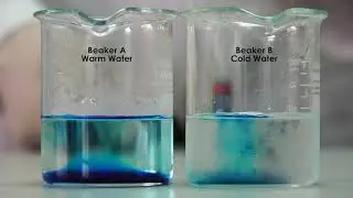 Diffusion in Hot and Cold Water | Chemistry | Online Tutorial | Bali SPK School