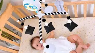 High-contrast patterns for early visual growth