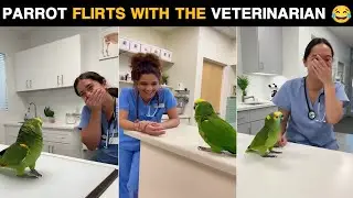 🦜Parrot Flirts With the Veterinarian | Realistic Clinic Scene 😂💚 | Funny Parrot Video 2025