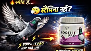 Speed Hai Par Stamina Nahi? 😱 BOOST IT PRO Se Banega Champion 🏆🕊️