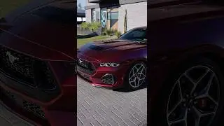Mustang GT in our Metallic Redhood colored PPF done by Hyer Quality Detail! #pureppf #coloredppf