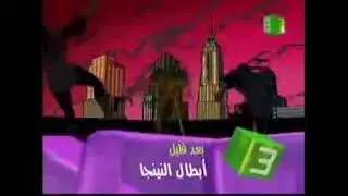 MBC3 NEXT UP (EARLY 2005) TEENAGE MUTANT NINJA TURTLES (2003) THE REMEMBER 2000S