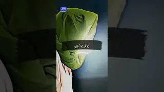 Quote About Imam Jaffar Sadiqع | #religios #informative #video 🌹💝
