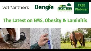 The latest on EMS, Obesity and Laminitis with Damory Vets