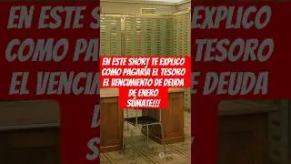 Canje de Bonos entre Tesoro y BCRA: &iquest;C&oacute;mo Argentina Planea Pagar en Enero?