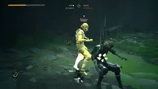 Absolver Kicking School