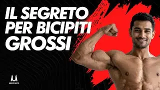 Allenamento per aumentare di 2cm i tuoi Bicipiti in 30 giorni