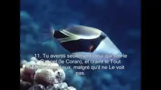 Sourate 36 Ya Sin   Saad al Ghamidi sous Titres en FR Macha Allah
