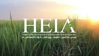 HEIA intro
