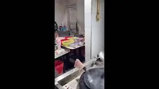 ⚡ LIVE📹 | Bunny Ears Fire Wok Live 貓耳炒菜直播 #Adorable #WokSkills #Cooking