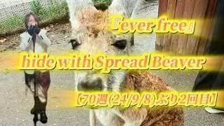 26/1/11(日)  hide with Spread Beaver  『ever free』  【70週(24/9/8)ぶり2回目】  Try🎤