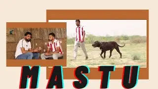 MR.SACHIN PUNIA||Bully Dog||Mastu Silent killer||