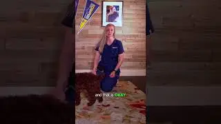 How to teach your puppy the &ldquo;down&rdquo; command!