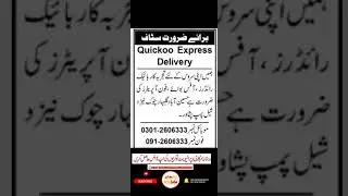 Telephone Operator Jobs | Office Boy Jobs | Bike Riders Jobs in Peshawar