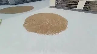 Dr. fixit waterproofing expert site Pilibhit Little Angel school 🏫(2)