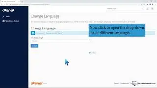 How to change the language in cPanel by: ParagonHost.net Technology