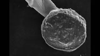 In situ Lithiation - Si-C composite