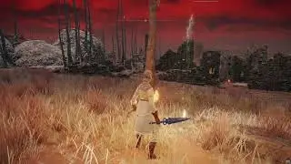 Elden Ring Offline Blind Pt 100 - Caelem Ruins, Dragonbarrow