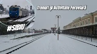 Trenuri și Activitate feroviară în Sibiu 6 / Trains and rail activity in Sibiu 6