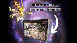 Opening Magnificent Mavens!!!