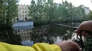 #спиннинг  Жор уклейки на мормышку🔥