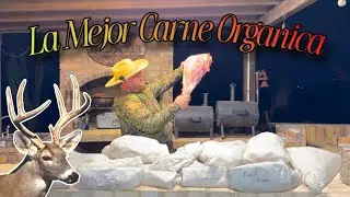La Mejor Carne Organica De Rancho 